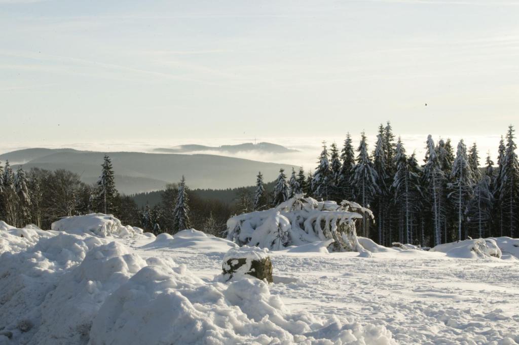 Hotel Hessenhof Winterberg Extérieur photo