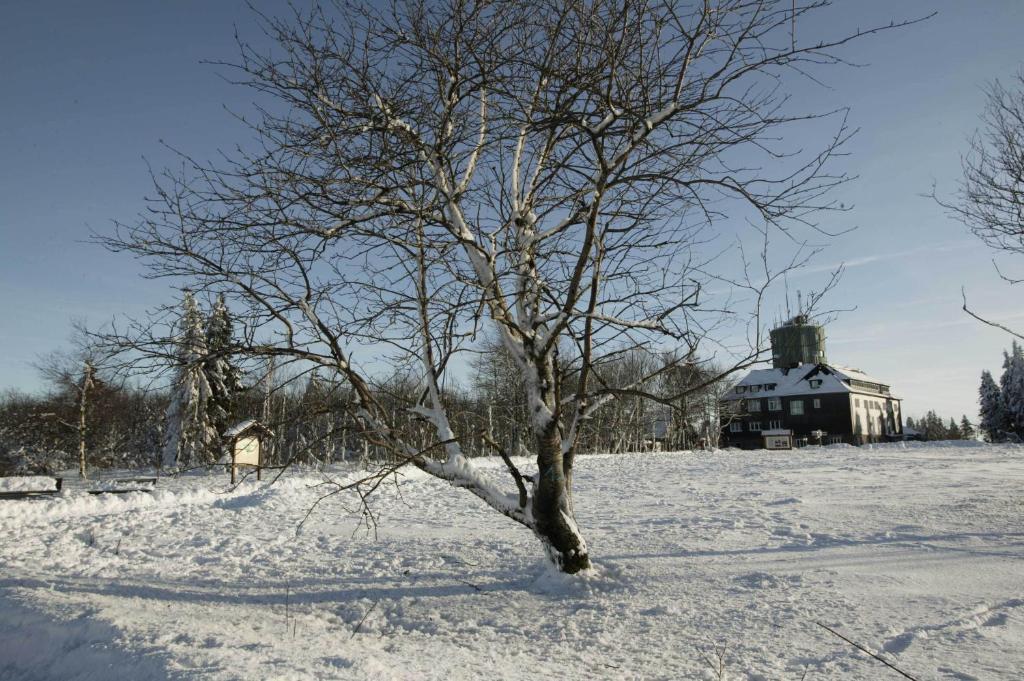 Hotel Hessenhof Winterberg Extérieur photo